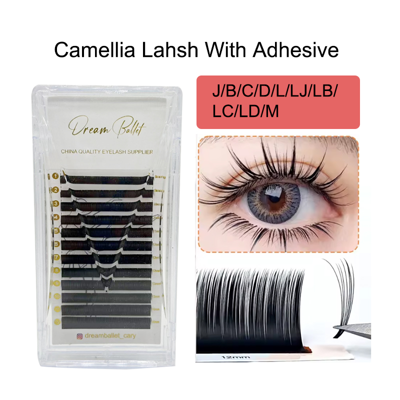 Eyelash Extension For Asian Eyes - Dream Ballet Camellia Lashes met Adhesive